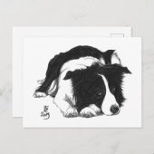 Doggust 2019コリー縁どハガキ 案内ポストカード (正面/裏面)