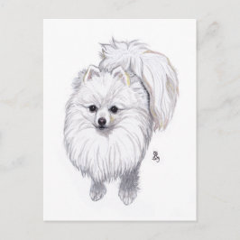 Doggust 2019ポメラニア犬はがき 案内ポストカード