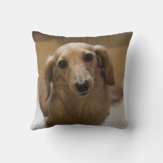 Doggy クッション (裏面)