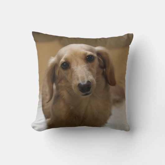 Doggy クッション (正面)