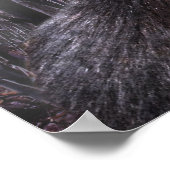 Dogmanポスター ポスター (角)