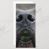 Dognoseラックカード プログラム (正面/裏面)