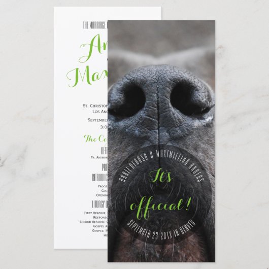 Dognoseラックカード プログラム (正面/裏面)