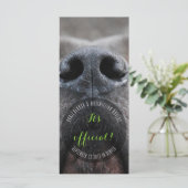 Dognoseラックカード プログラム (スタンド正面)