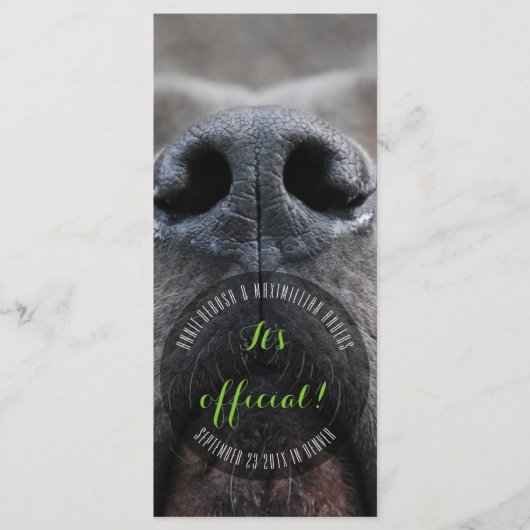 Dognoseラックカード プログラム (正面)