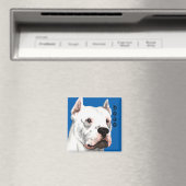 Dogoアルゼンチン色ブロック マグネット (インサイチュ (食洗機))