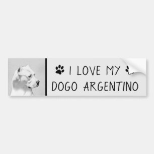 Dogo Argentino絵画's - Dogo Dog Art バンパーステッカー