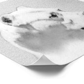 Dogo Argentino絵画's - Dogo Dog Art ポスター (角)