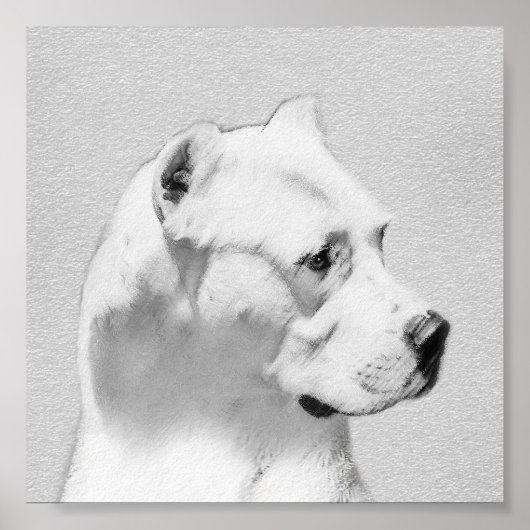 Dogo Argentino絵画's - Dogo Dog Art ポスター (正面)