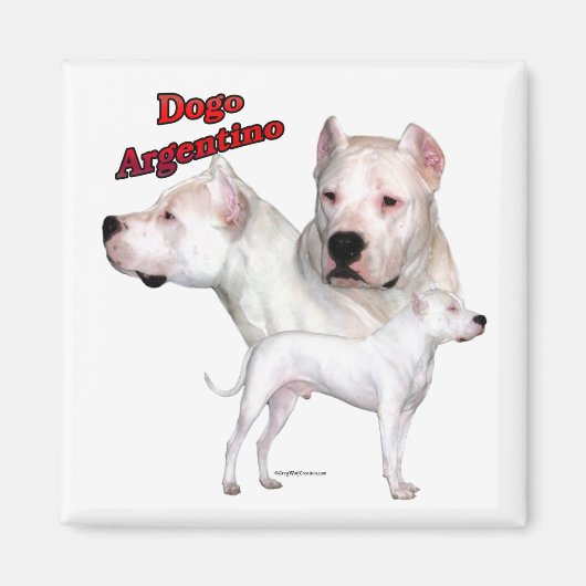 Dogo Argentino Trio 2 – マグネット (正面)
