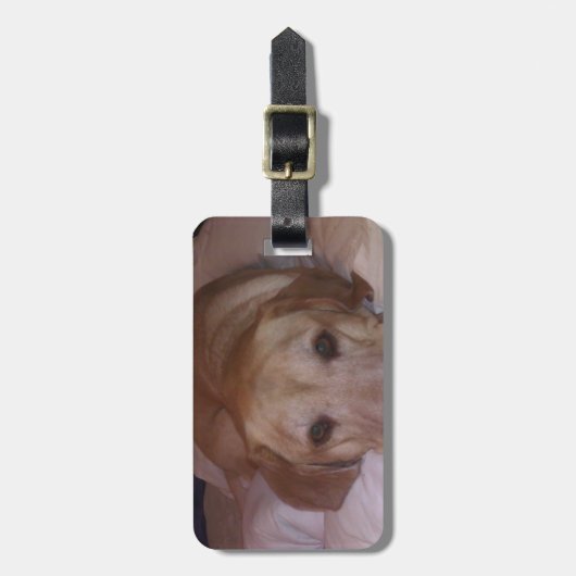 Dogonit… ラゲッジタグ (正面縦)