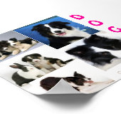 DOGSポスター ポスター (角)