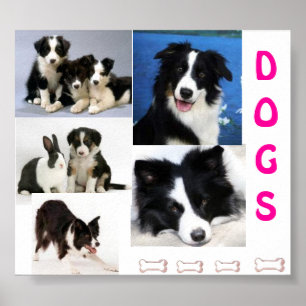 DOGSポスター ポスター