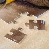 Dogs and Cat Grads in Photo Booth ジグソーパズル (側面)