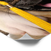 Dogs and Cat Grads in Photo Booth ポスター (角)