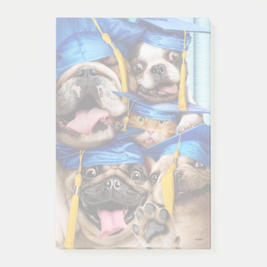 Dogs and Cat Grads in Photo Booth ポストイット (正面)
