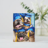 Dogs and Cat Grads in Photo Booth ポストカード (スタンド正面)