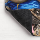 Dogs and Cat Grads in Photo Booth マウスパッド (コーナー)