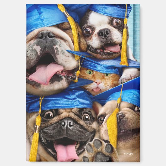 Dogs and Cat Grads in Photo Booth マグネット (正面)