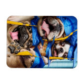 Dogs and Cat Grads in Photo Booth マグネット (横)