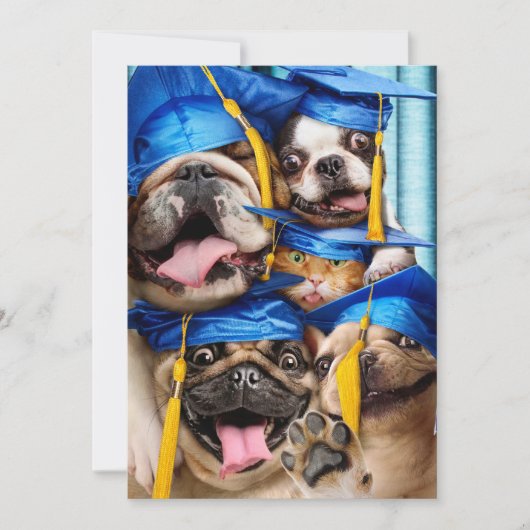 Dogs and Cat Grads in Photo Booth 招待状 (正面)