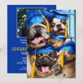 Dogs and Cat Grads in Photo Booth 招待状 (正面/裏面)