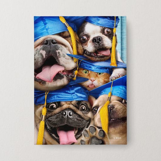 Dogs and Cat Grads in Photo Booth 缶バッジ (正面)