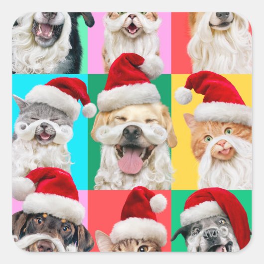 Dogs and Cats with Santa Beard スクエアシール (正面)