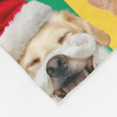 Dogs and Cats with Santa Beard フリースブランケット (角)