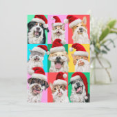 Dogs and Cats with Santa Beard 招待状 (スタンド正面)