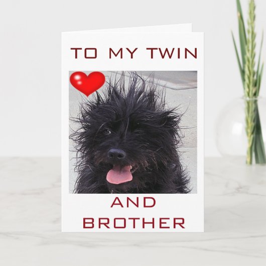 DOG'S BAD HAIR DAY HAPPY BIRTHDAY TWIN BROTHER カード (正面)