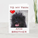 DOG'S BAD HAIR DAY HAPPY BIRTHDAY TWIN BROTHER カード<br><div class="desc">HAPPY BIRTHDAY TO MY TWIN AND MY BROTHER AND THIS ADORABLE BLACK PUP IS SURE TO PUT A HUGE SMILE ON HIS FACE ON HIS SPECIAL DAY!</div>