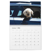 Dogs in Cars Calendar カレンダー (1月 2026)