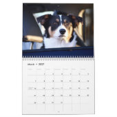 Dogs in Cars Calendar カレンダー (3月 2027)