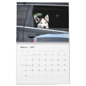 Dogs in Cars Calendar カレンダー (2月 2027)