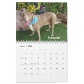 Dogs of the Oklahoma City Animal Shelter Calendar カレンダー (3月 2026)