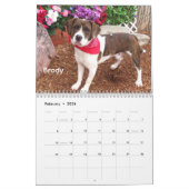Dogs of the Oklahoma City Animal Shelter Calendar カレンダー (2月 2026)