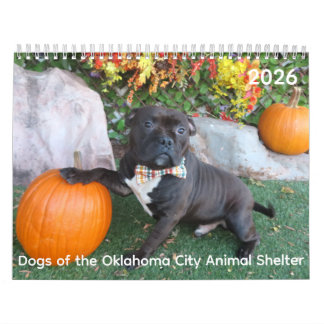 Dogs of the Oklahoma City Animal Shelter Calendar カレンダー