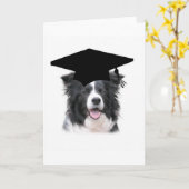 Dogs~Original Ditzy Notecard~Borderのコリー カード (黄色い花)