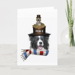 Dogs~Original Ditzy Notecard~Borderのコリー カード