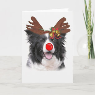 Dogs~Original Ditzy Notecard~Borderのコリー シーズンカード