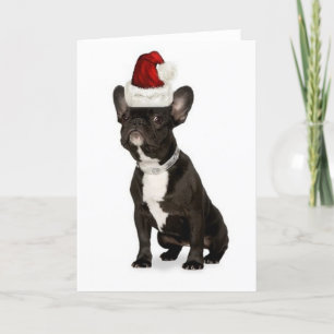 Dogs~Original Ditzy Notecard~Frenchのブルドッグ シーズンカード