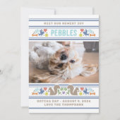 Dog's Things お気に入りの Gotcha Day発表 シーズンカード (正面)