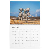 Dogtopia – ドッグカレンダー カレンダー (3月 2027)