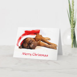 Dogue de Bordeauxのクリスマスカード シーズンカード