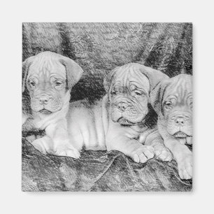 Dogue de bordeauxの磁石 マグネット