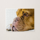 Dogue de Bordeaux ジグソーパズル (横)