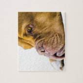 Dogue de Bordeaux ジグソーパズル (縦)