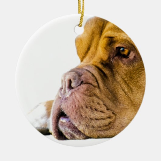 Dogue de Bordeaux セラミックオーナメント (正面)