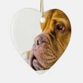 Dogue de Bordeaux セラミックオーナメント (右)